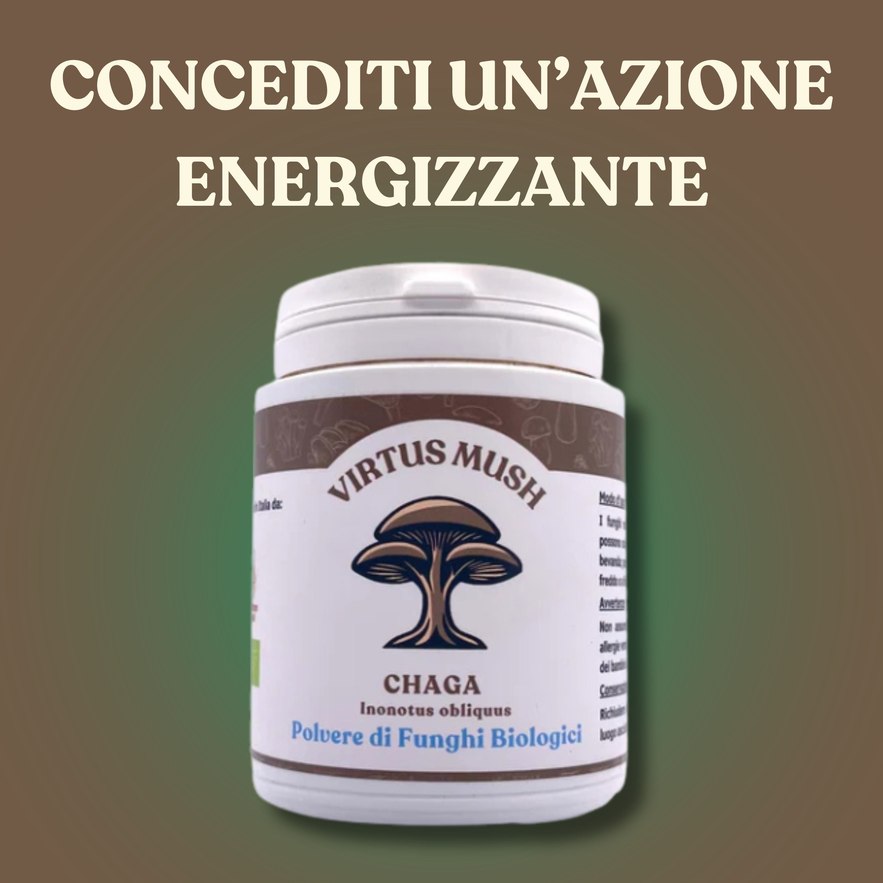 Chaga (Inonotus obliquus)