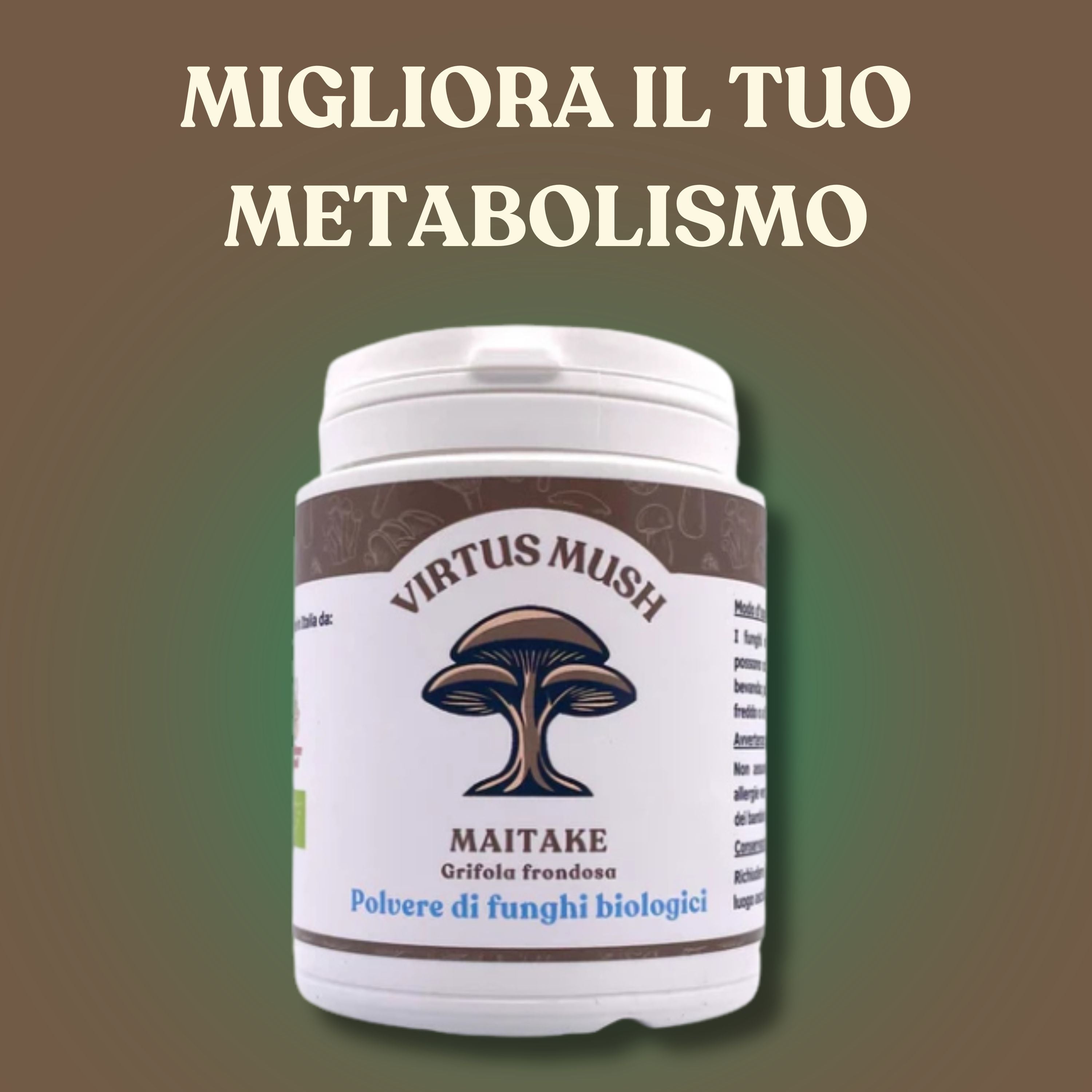 Maitake (Grifola frondosa)