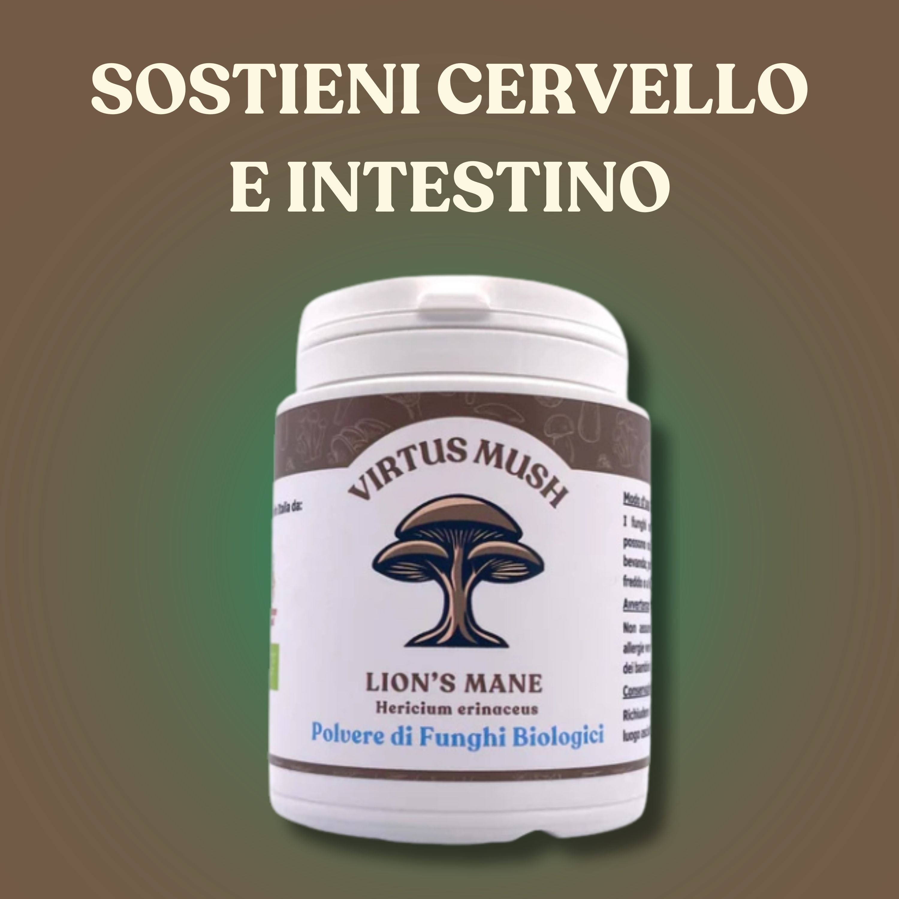 Lion's Mane (Hericium erinaceus)